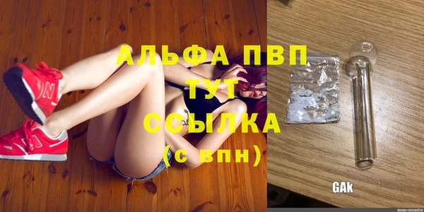 PSILOCYBIN Беломорск