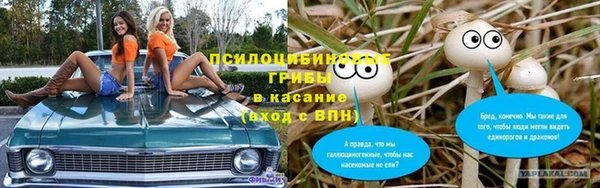 меф Белокуриха