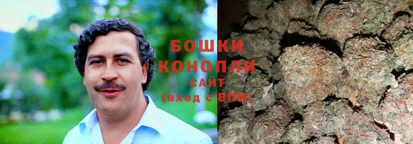 ALPHA PVP Рославль